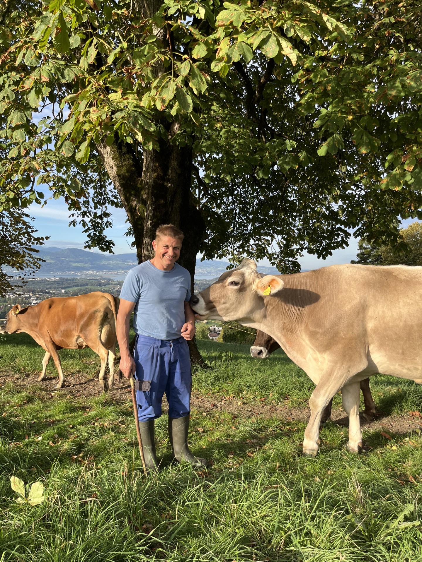 Hansueli Stricker auf der Weide mit einer Kuh